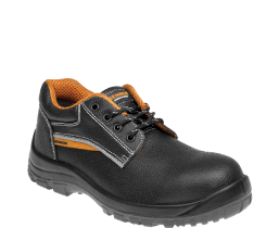 basic-s1-low